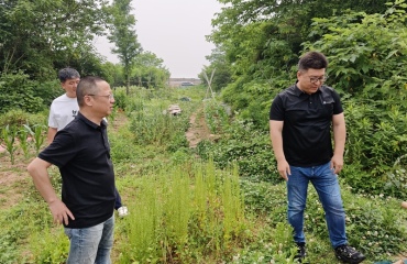 浙江省植保检疫总站寿林飞副站长一行来舟指导红火蚁防控工作