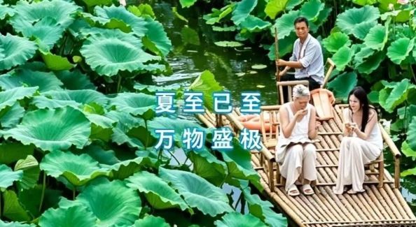 今日夏至