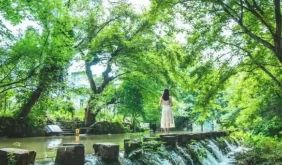 这个夏天，大灵山旅游度假区与徽州小馆西溪南店合体放大招啦！