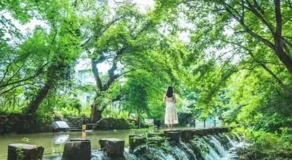 这个夏天，大灵山旅游度假区与徽州小馆西溪南店合体放大招啦！