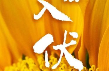 今天，入伏（有40天）
