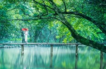 凉意透屏！这个夏天，来徽州解锁清凉避暑的N种玩法