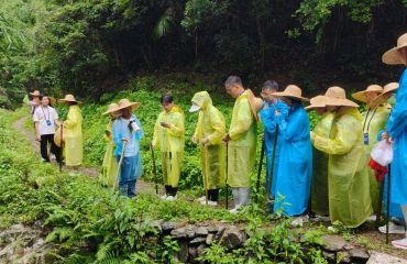 徽州区杨村乡：岐黄问道进药谷 研学赋能促振兴