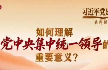 习近平党建思想系列解读二丨如何理解党中央集中统一领导的重要意义？
