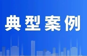安徽省旅游行业导游乱象、强制消费等问题行政处罚典型案例（2026年第六批）
