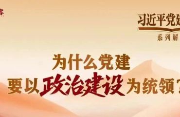 习近平党建思想系列解读五丨为什么党建要以政治建设为统领？