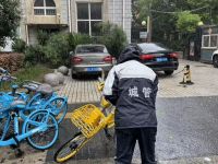 连续作战防风雨，坚守一线保民生！静安各街镇筑牢防汛防台“铜墙铁壁”