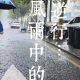 风雨坚守不松懈 硬核护航保平安