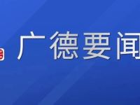 金宁赴深圳开展招商引资考察