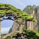 黄山真的是福地!迎客松旁中了656万!| 古徽州 新生活