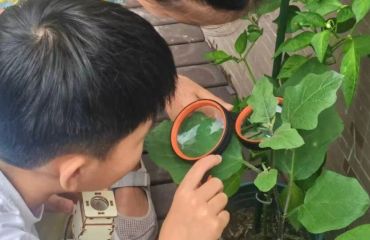 “科创浸润童心，少年逐梦未来”青少年科普系列第二期活动
