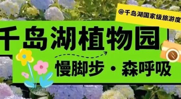 国家级旅游度假区 | 放慢呼吸，放慢脚步，把时间留给这座180亩的森林岛