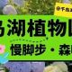 国家级旅游度假区 | 放慢呼吸,放慢脚步,把时间留给这座180亩的森林岛