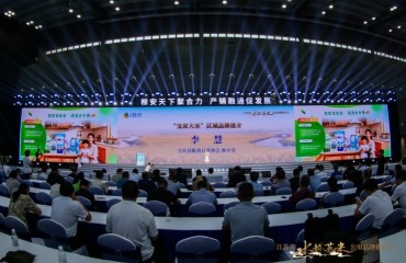 生态荷乡出好米 “宝应大米”亮相粮食交易大会