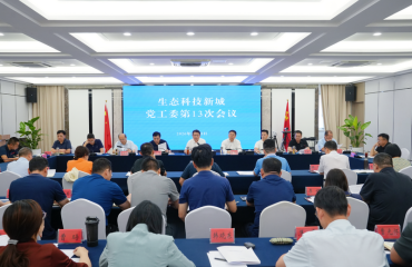 新城党工委2026年度第13次会议召开
