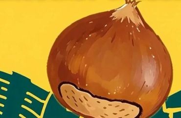 皖美宝藏小城丨9·20 广德云涧金秋板栗月 · 启动日邀请您来！共赴一场治愈系秋日，来接满满栗香的好运气