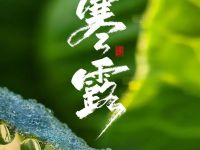 今日寒露，记得添衣