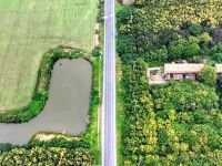 这条公路，美翻了！