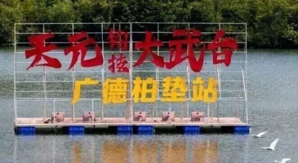 皖美宝藏小城丨号外！2026天元钓技大武台总决赛最新消息~附完整赛程与观赛攻略