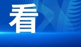 新型黑恶犯罪识别卡｜网络暴力