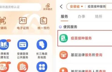 线上预约已开启！黄山农村“一老一小”可免费接种流感疫苗