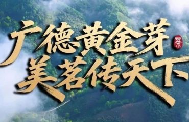 广德这一叶！