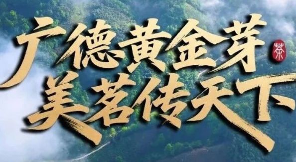 广德这一叶！