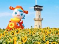 白马湖的秋天有点好逛'◡'
