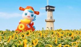 白马湖的秋天有点好逛'◡'