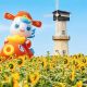 白马湖的秋天有点好逛'◡'