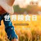世界粮食日 | 节约粮食,从你我做起!