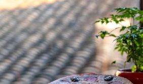 重阳来锦溪，一整个江南秋天都在这里