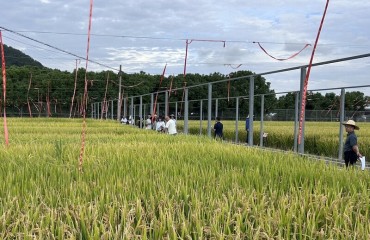 省种子管理总站组织专家来我市考察水稻品种区域试验工作
