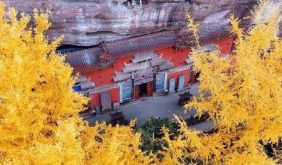 金色传说！齐云山秋季第二阶段直接夯爆