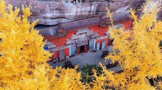 金色传说！齐云山秋季第二阶段直接夯爆