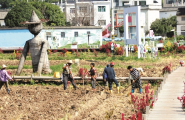 秋冬播新绿春来花满畦