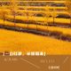 徽州自在时节 | Vol.04 呈坎镇:一山红蓼,半坡稻浪