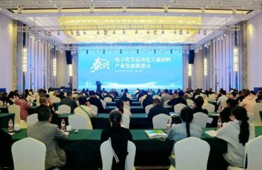2026泰兴电子化学品及化工新材料产业发展推进会召开