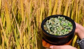 招募体验官｜锦溪请你好好吃饭