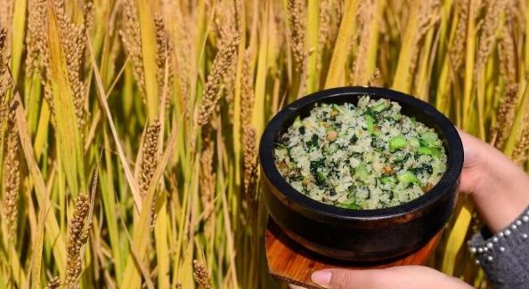 招募体验官｜锦溪请你好好吃饭