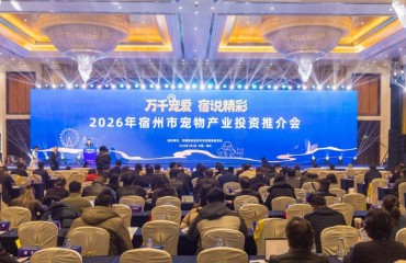 宿州，正得“宠”