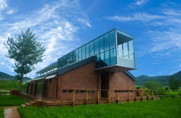 从一粒种子到一片稻田，宿州埇桥“拔节”生长