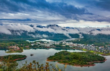 动静之间，归心姜家