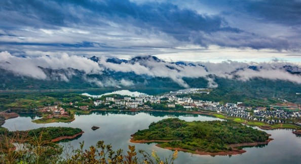 动静之间，归心姜家