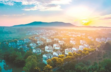 “不刷墙不造景”，村庄为何悄悄变美