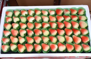 这个皖北小镇草莓产业真“甜”!