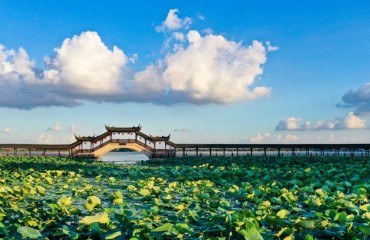 水乡飘来咖啡香：一个江南小镇的乡村振兴新叙事