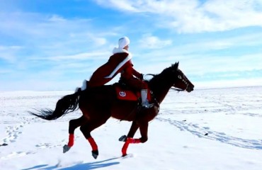 “网红干部”贺娇龙去世，为何引发全网悼念？