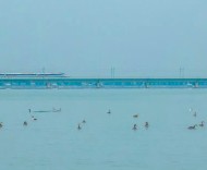 长三角核心水域实现新突破，元荡湖口断面水质首次“达Ⅲ”