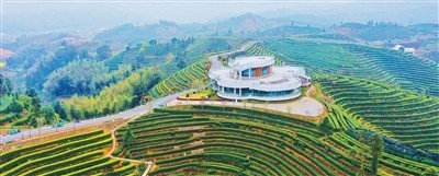 浙江丽水：山水空气有标价 生态产品能生金